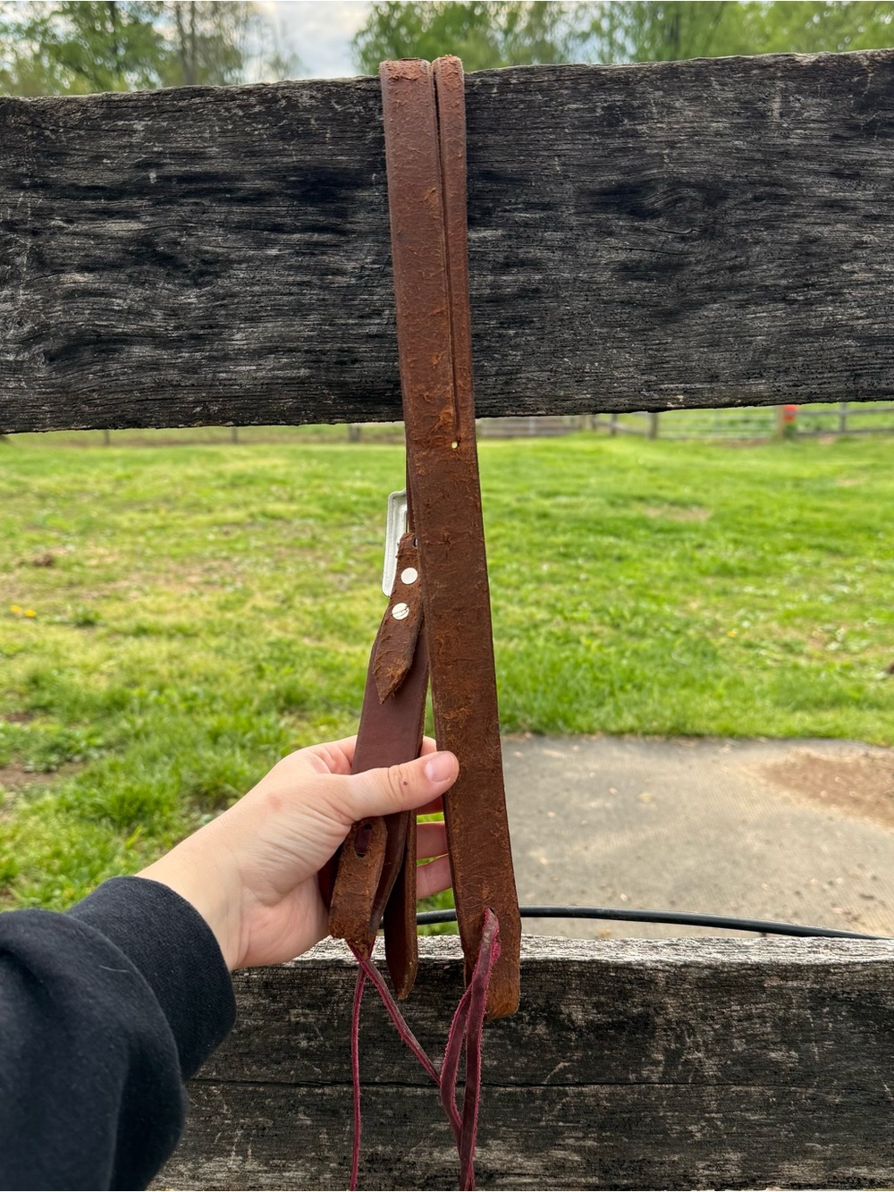 Split Ear Headstall - Picture 3 of 3